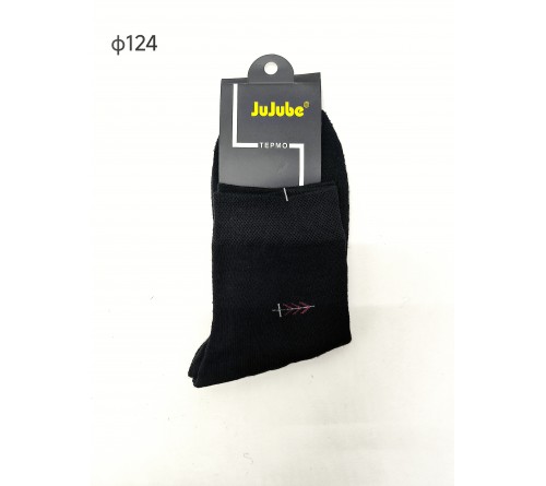 Ф124-1 Носки мужск.махра 80% хлопка JuJube