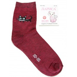 АВ2 Носки подростк.девоч. Лариса